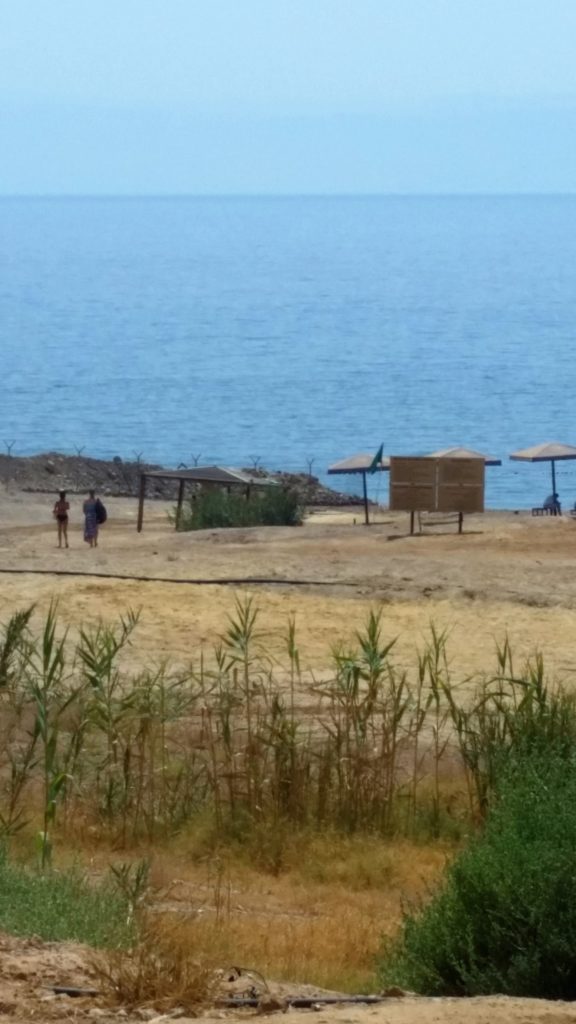 Students enjoying their first visit to the Dead Sea